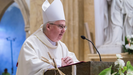 Náhledový obrázek