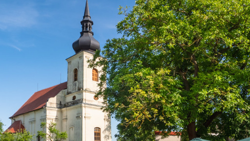 Náhledový obrázek