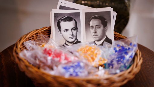 Náhledový obrázek