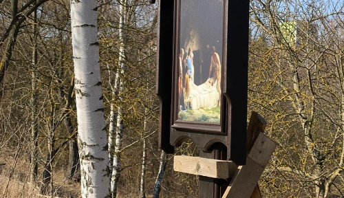 Náhledový obrázek