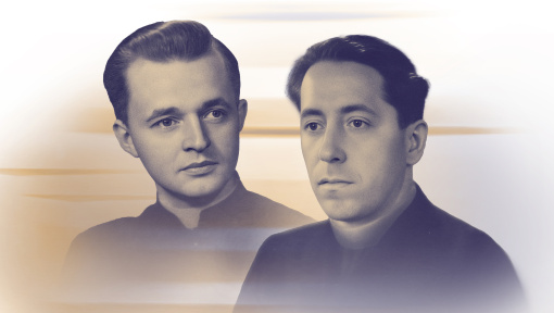 Náhledový obrázek